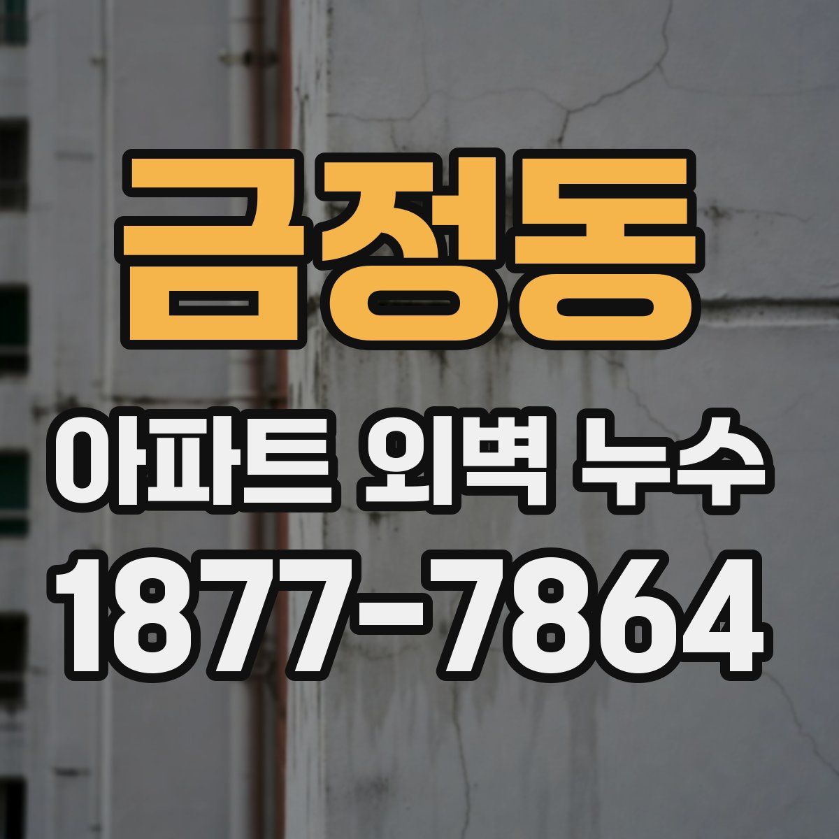 금정동 아파트 외벽 누수