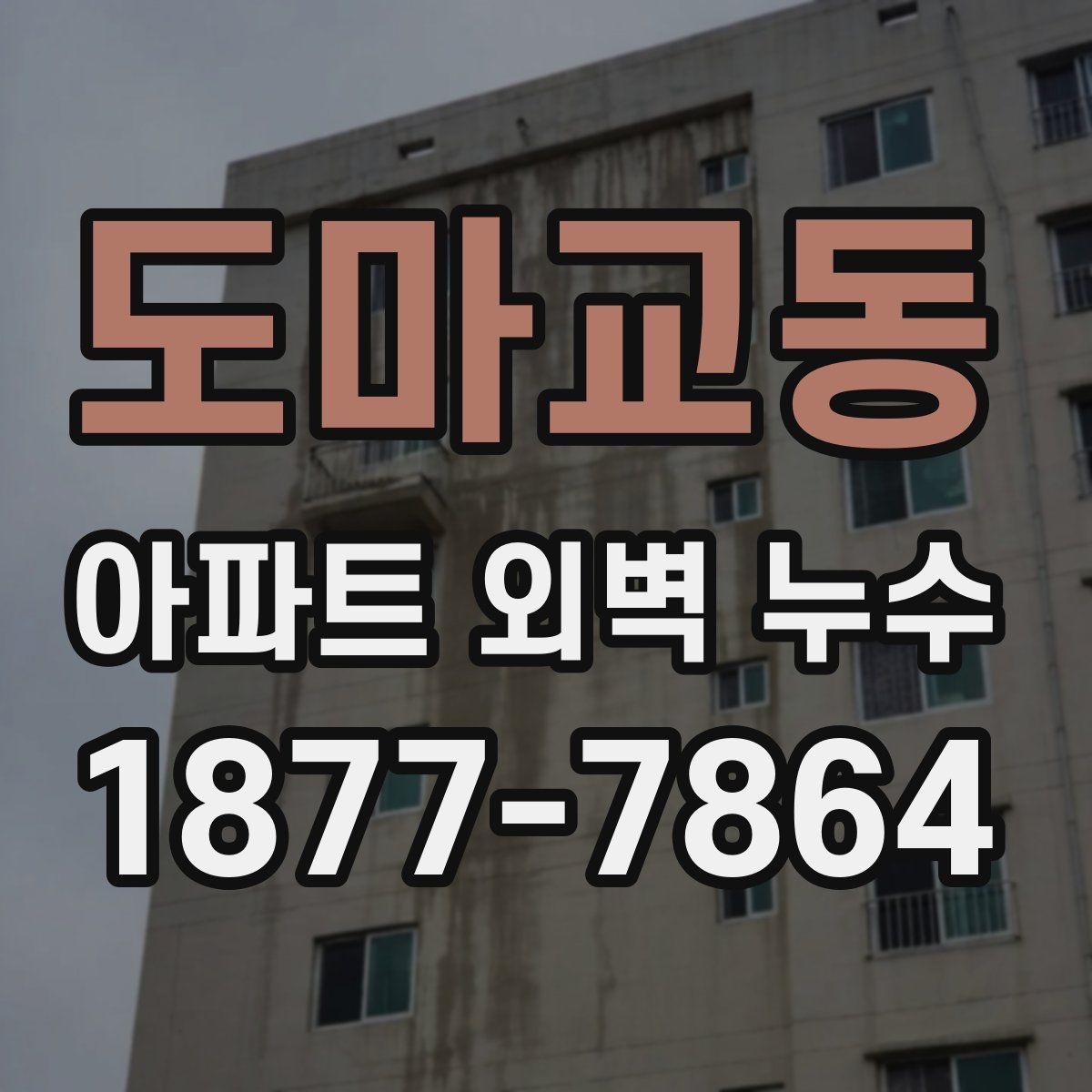 도마교동 아파트 외벽 누수