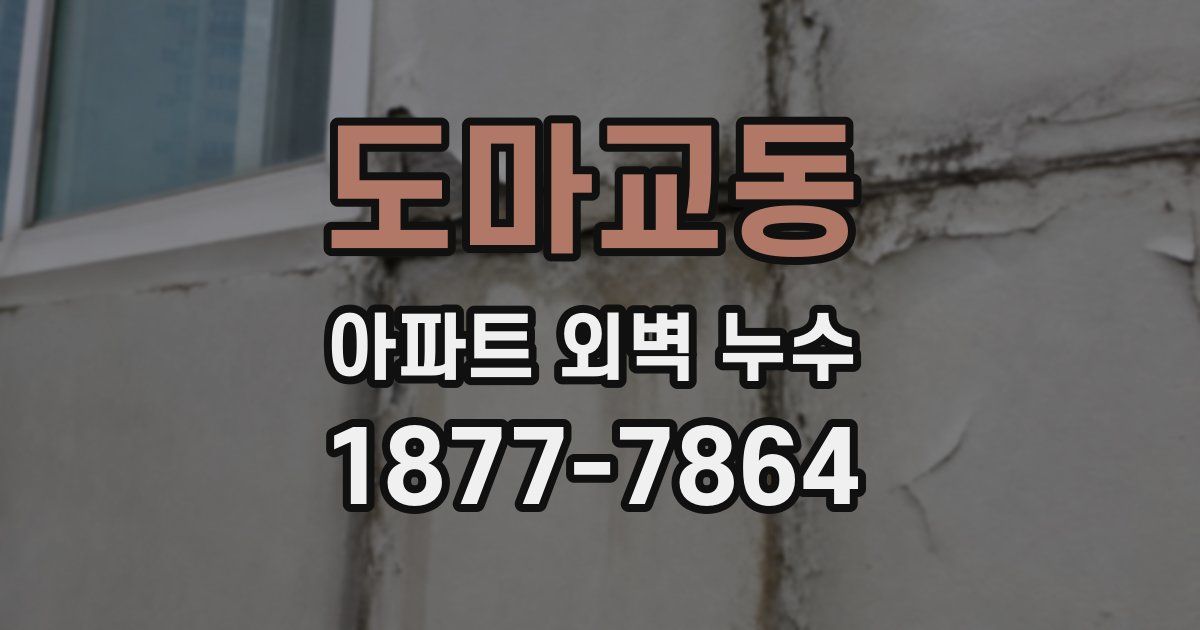 도마교동 아파트 외벽 누수