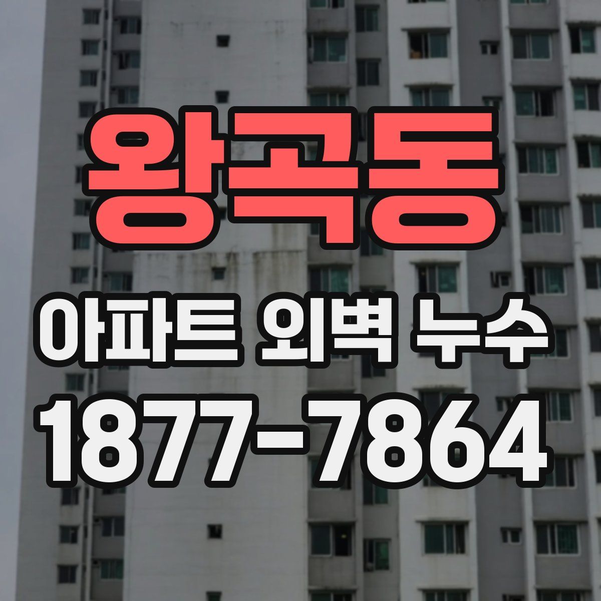왕곡동 아파트 외벽 누수