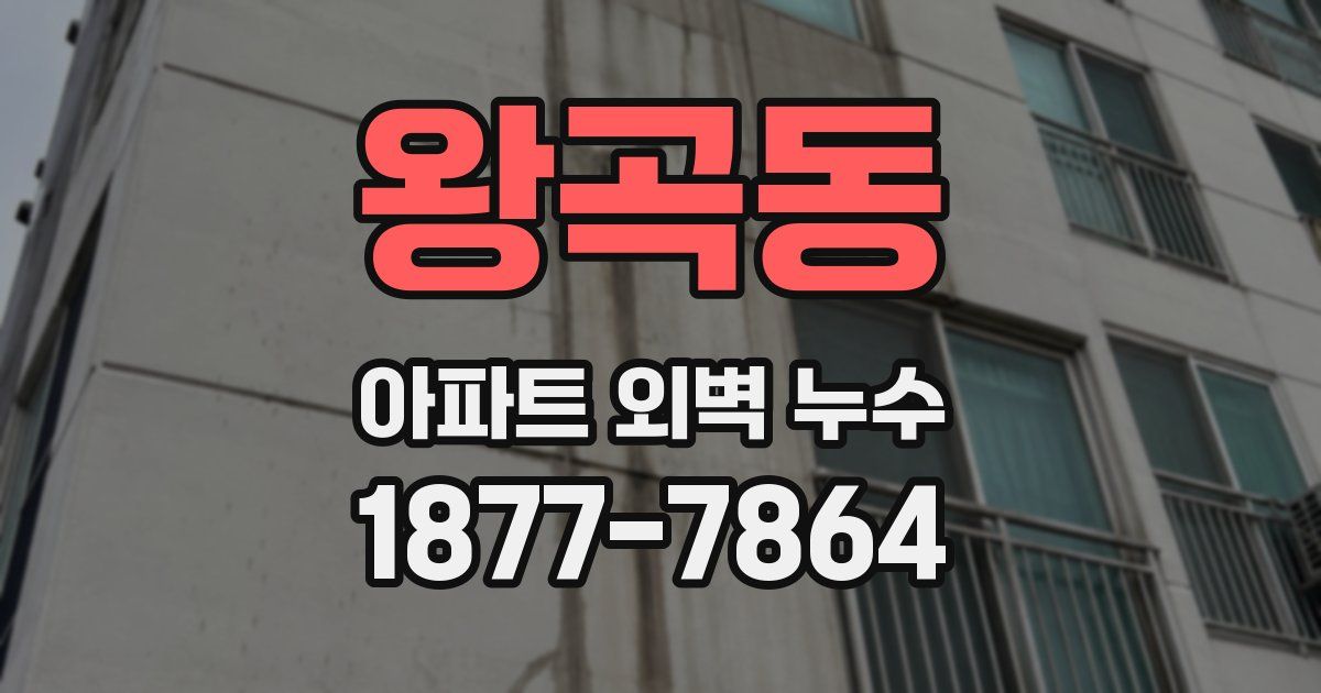 왕곡동 아파트 외벽 누수