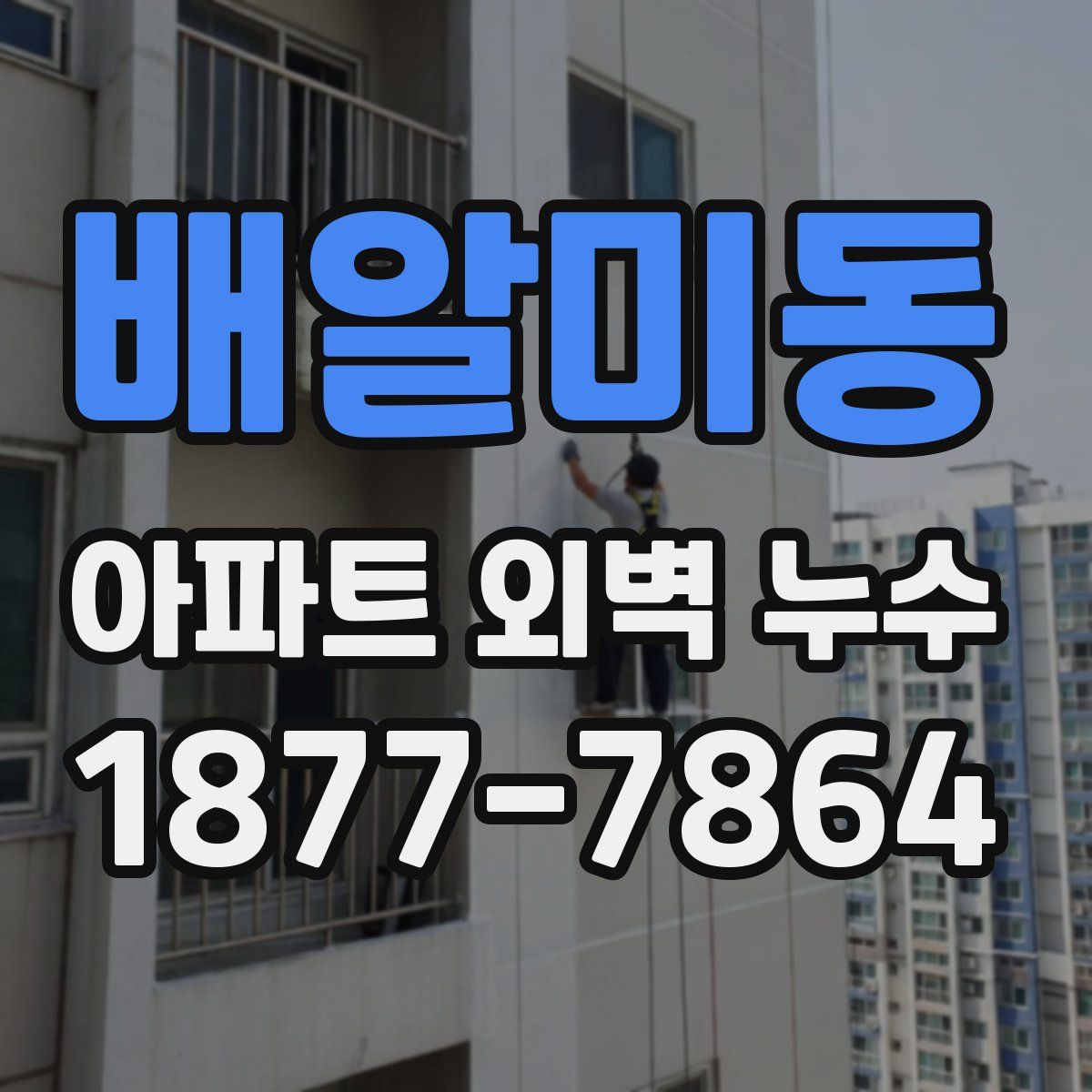 배알미동 아파트 외벽 누수