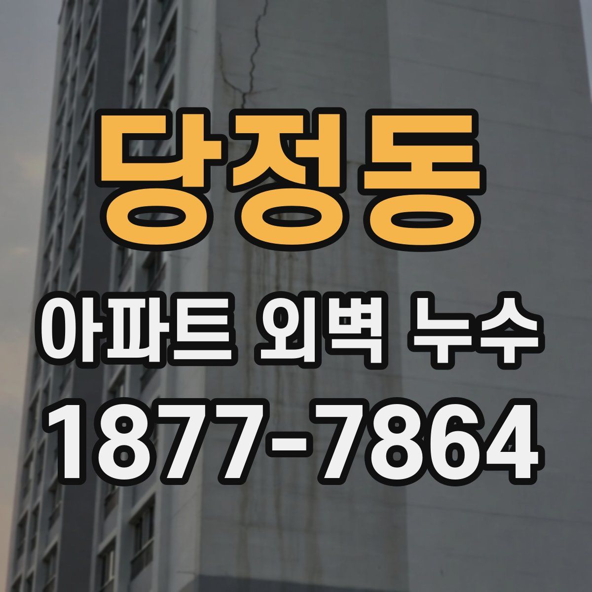 당정동 아파트 외벽 누수