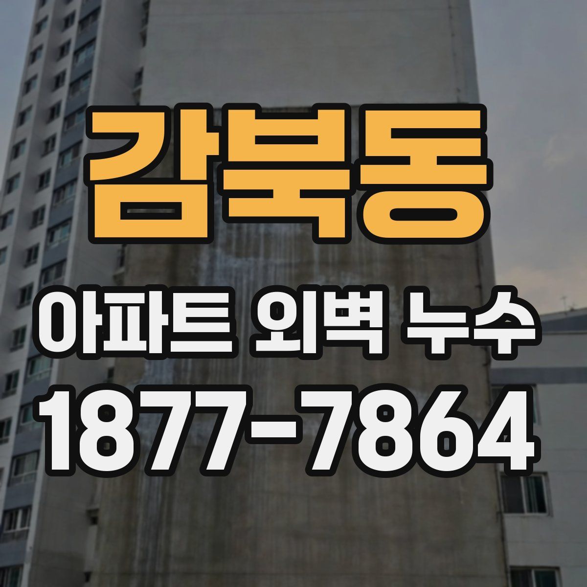 감북동 아파트 외벽 누수