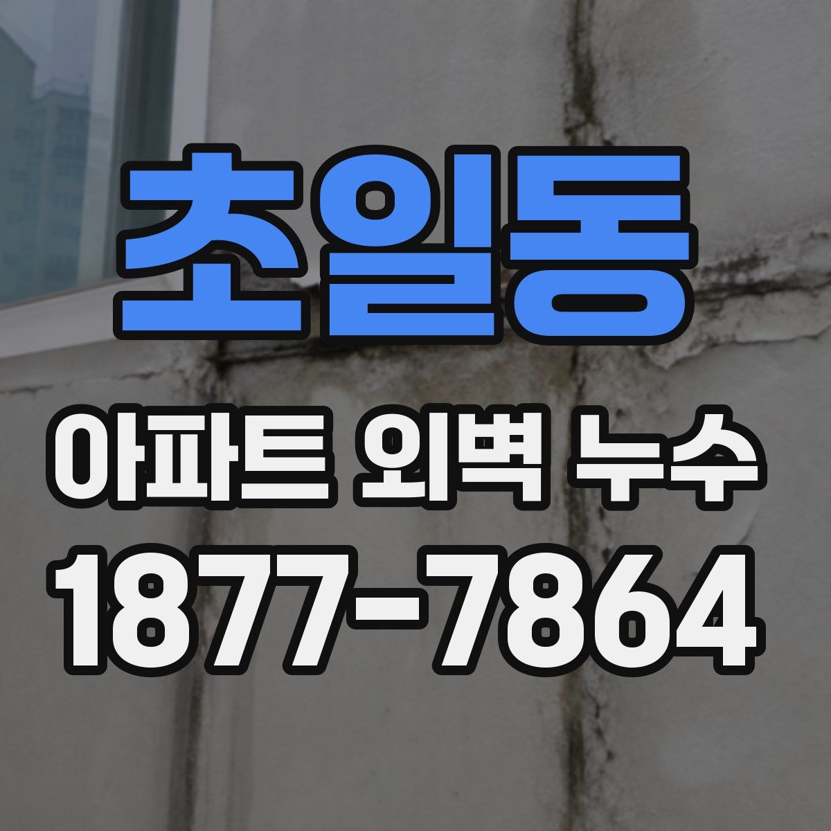 초일동 아파트 외벽 누수