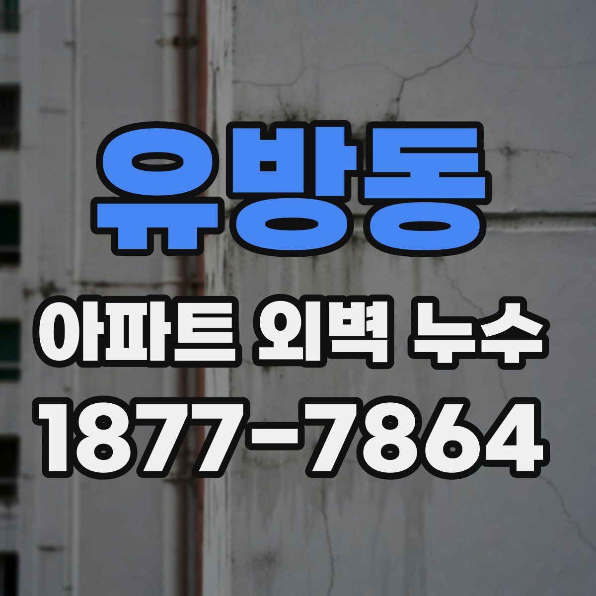유방동 아파트 외벽 누수