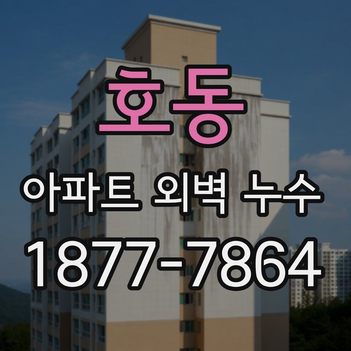 호동 아파트 외벽 누수