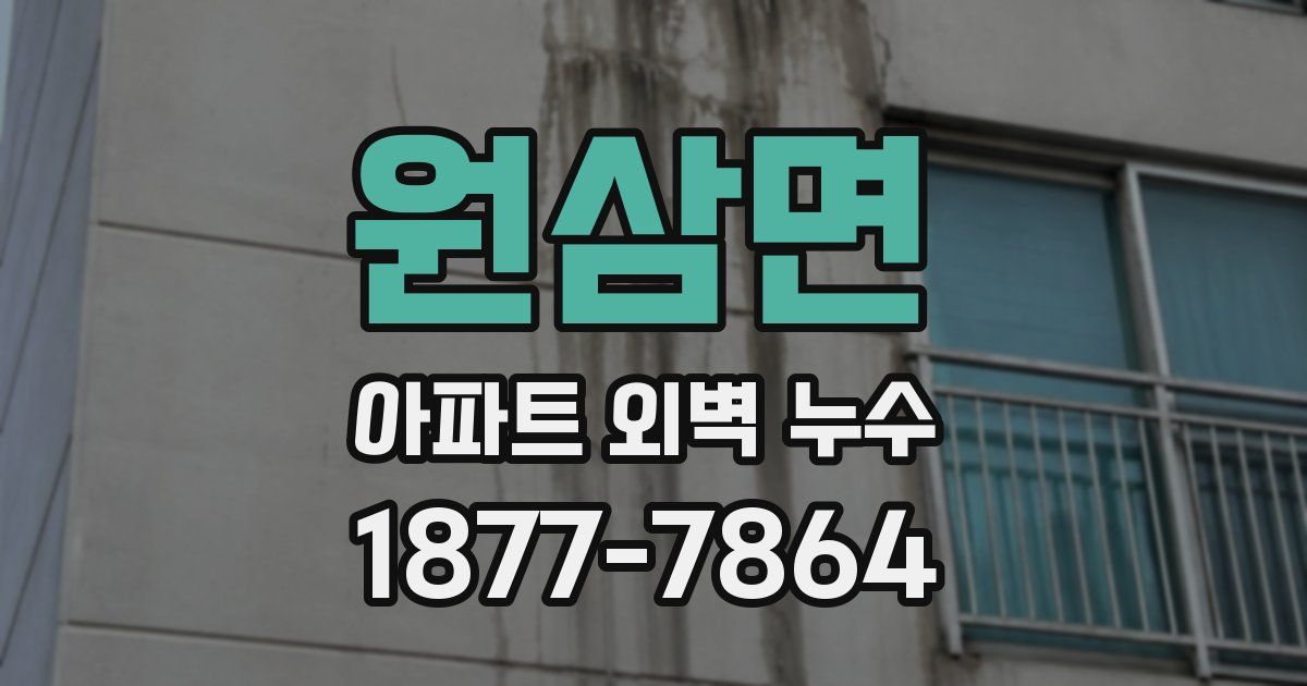 원삼면 아파트 외벽 누수