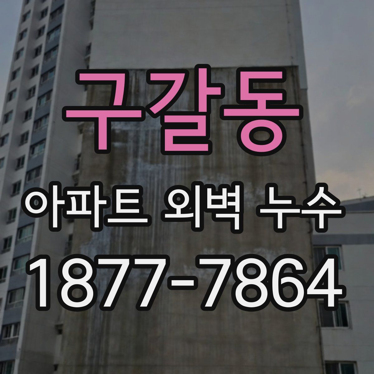 구갈동 아파트 외벽 누수