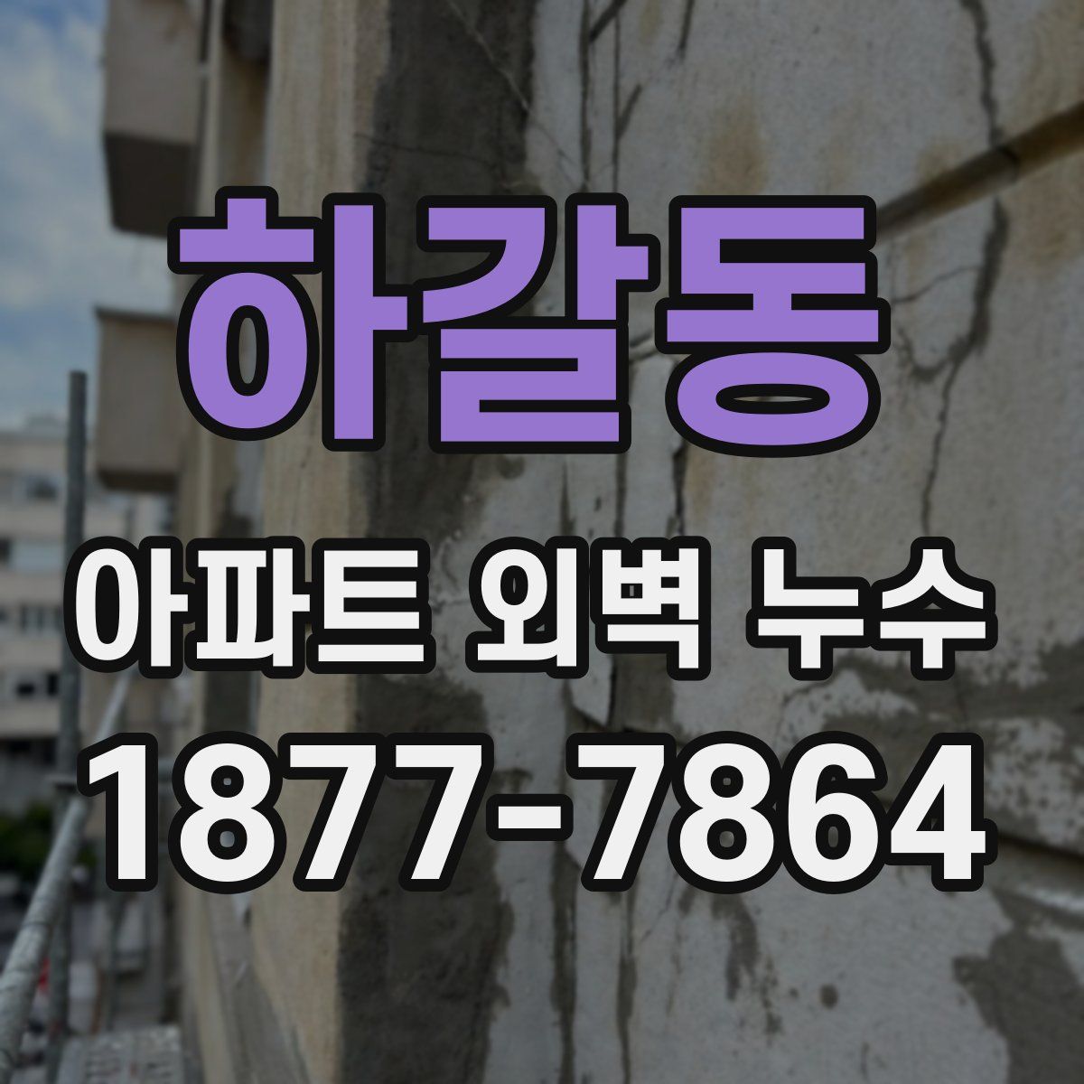 하갈동 아파트 외벽 누수