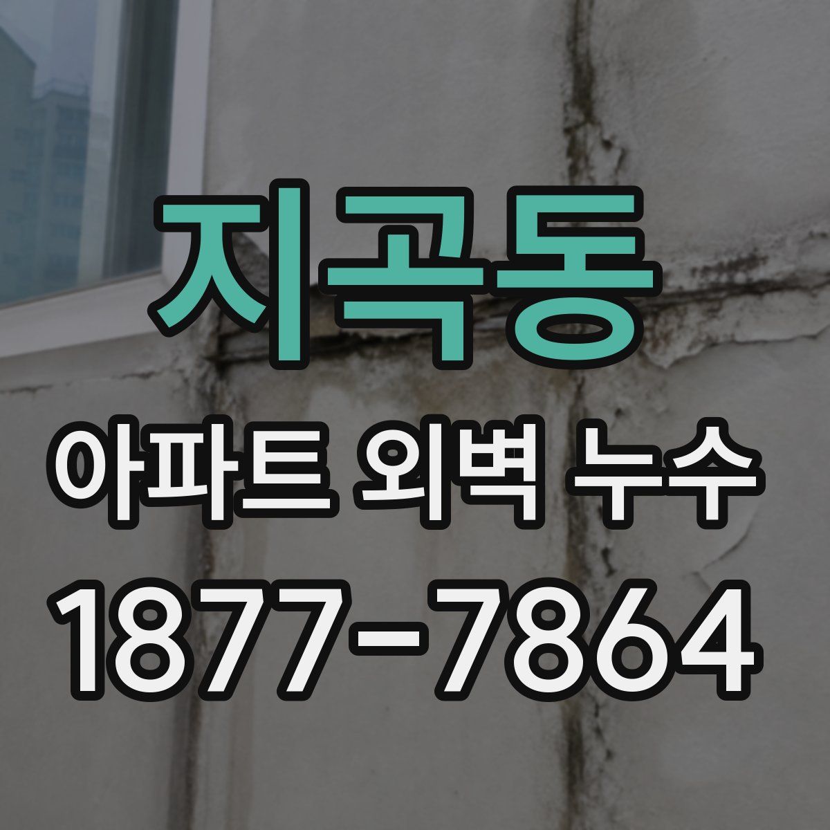지곡동 아파트 외벽 누수