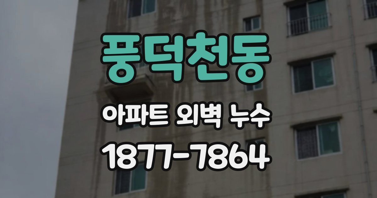 풍덕천동 아파트 외벽 누수
