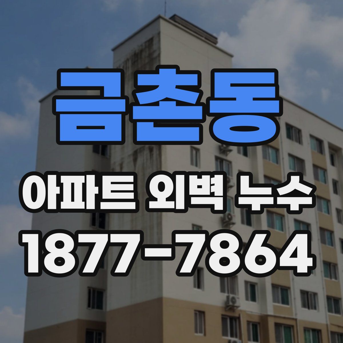 금촌동 아파트 외벽 누수