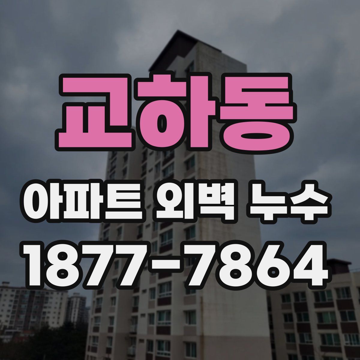 교하동 아파트 외벽 누수