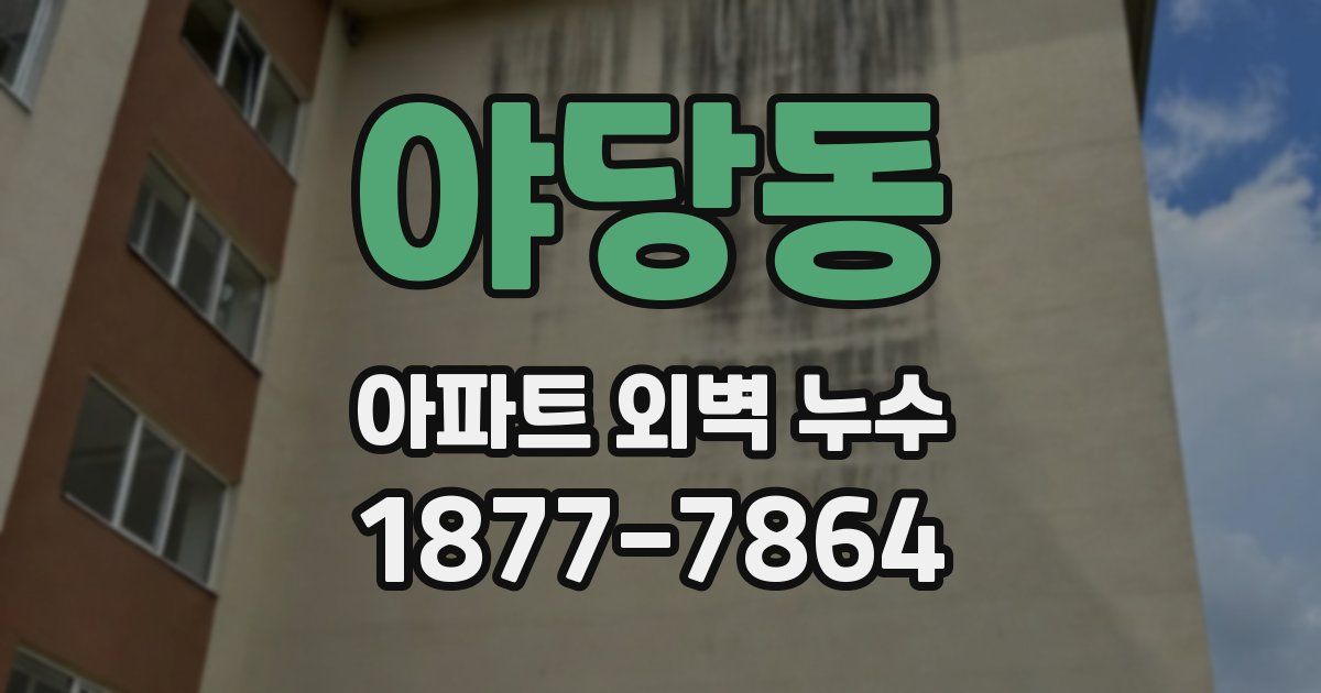 야당동 아파트 외벽 누수