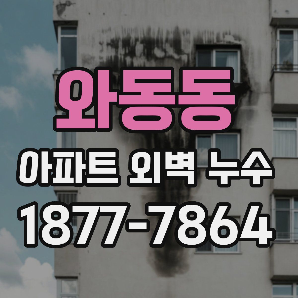와동동 아파트 외벽 누수