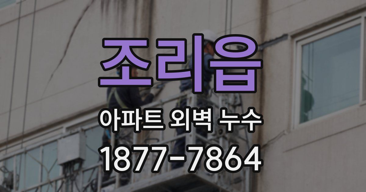 조리읍 아파트 외벽 누수