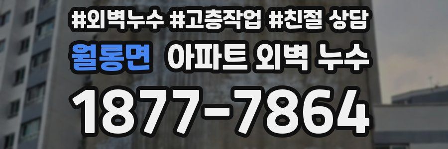 월롱면 아파트 외벽 누수