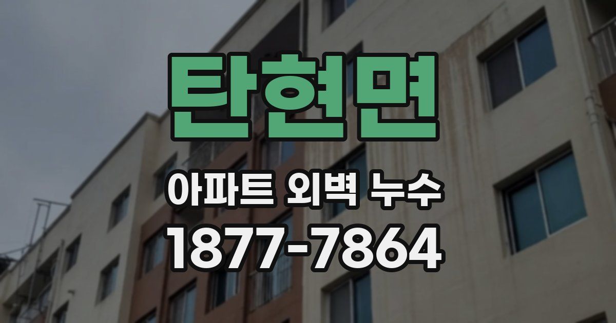 탄현면 아파트 외벽 누수