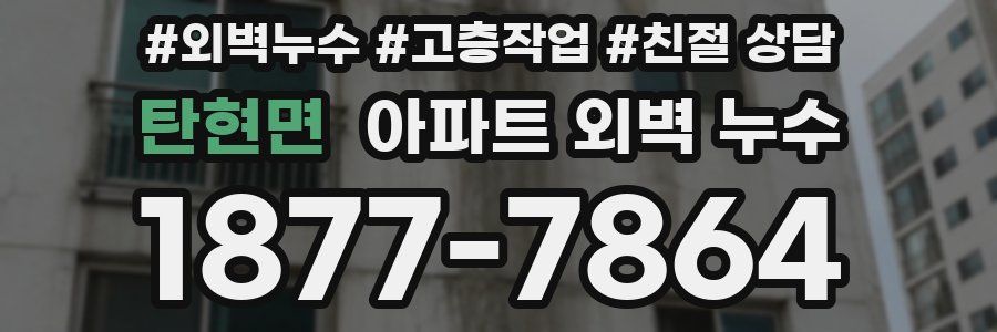 탄현면 아파트 외벽 누수