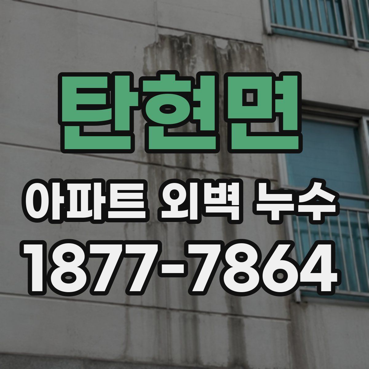 탄현면 아파트 외벽 누수
