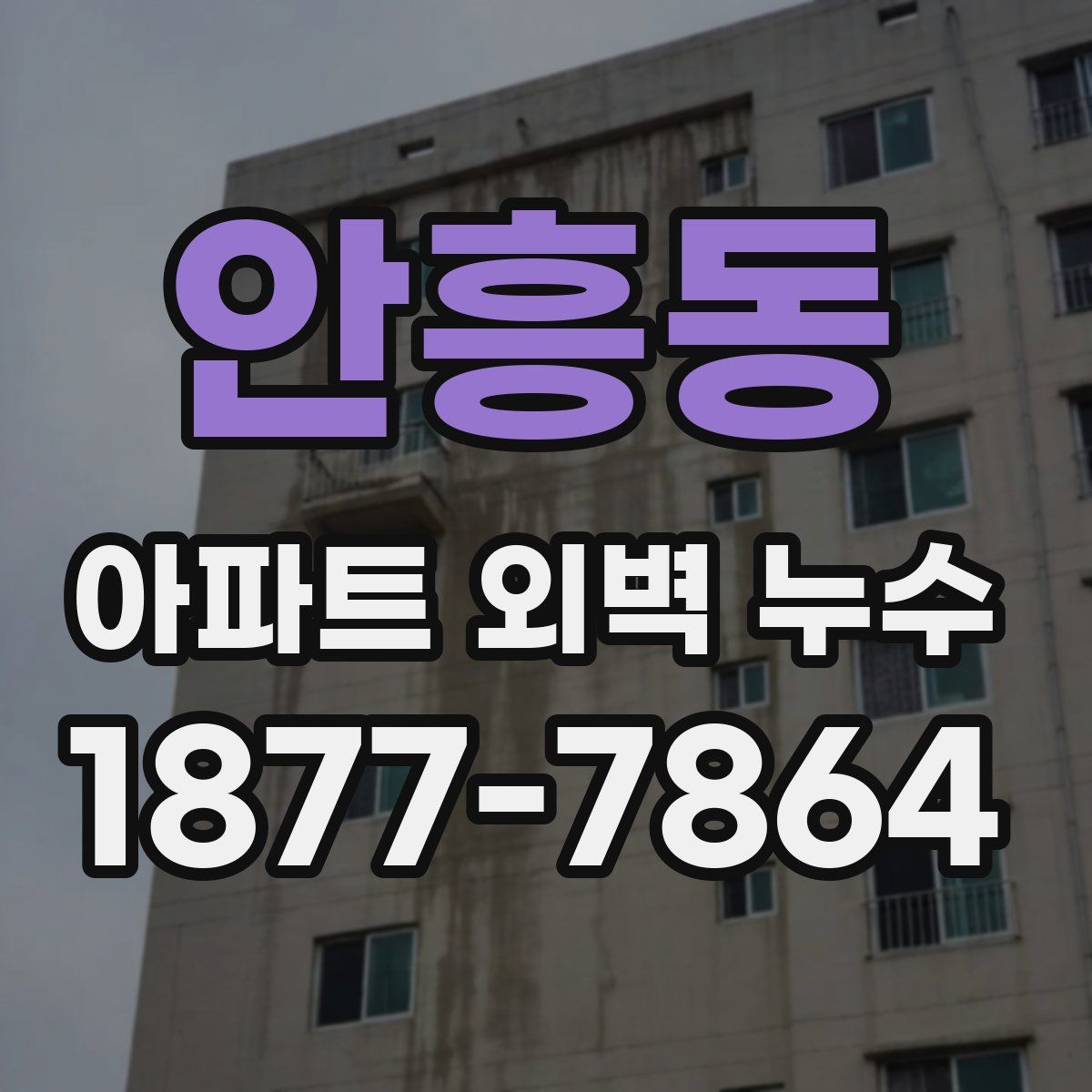 안흥동 아파트 외벽 누수