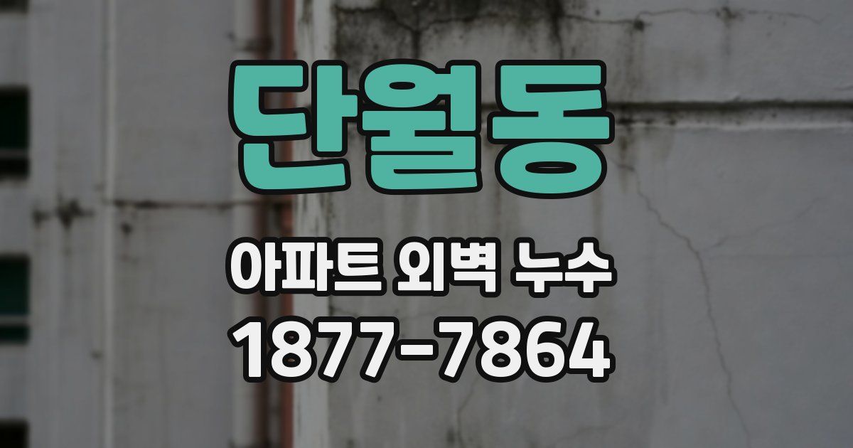 단월동 아파트 외벽 누수