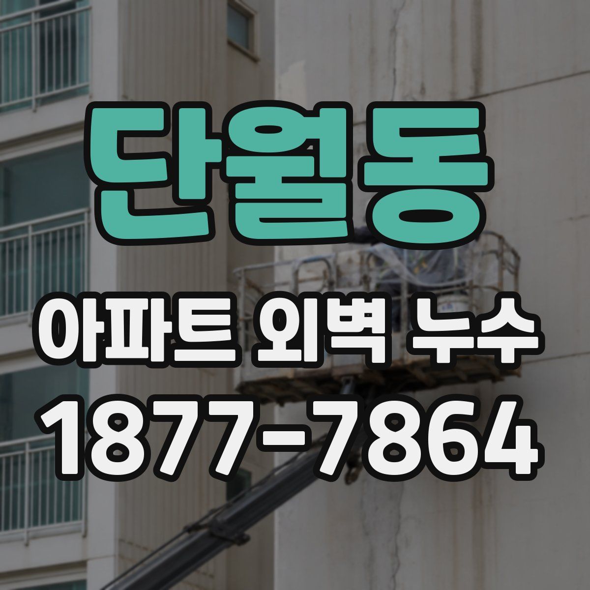 단월동 아파트 외벽 누수