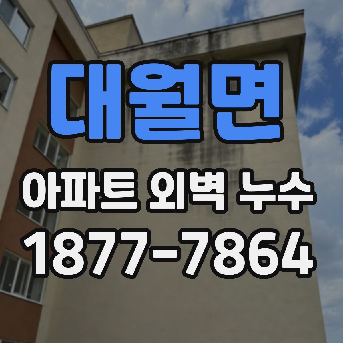 대월면 아파트 외벽 누수