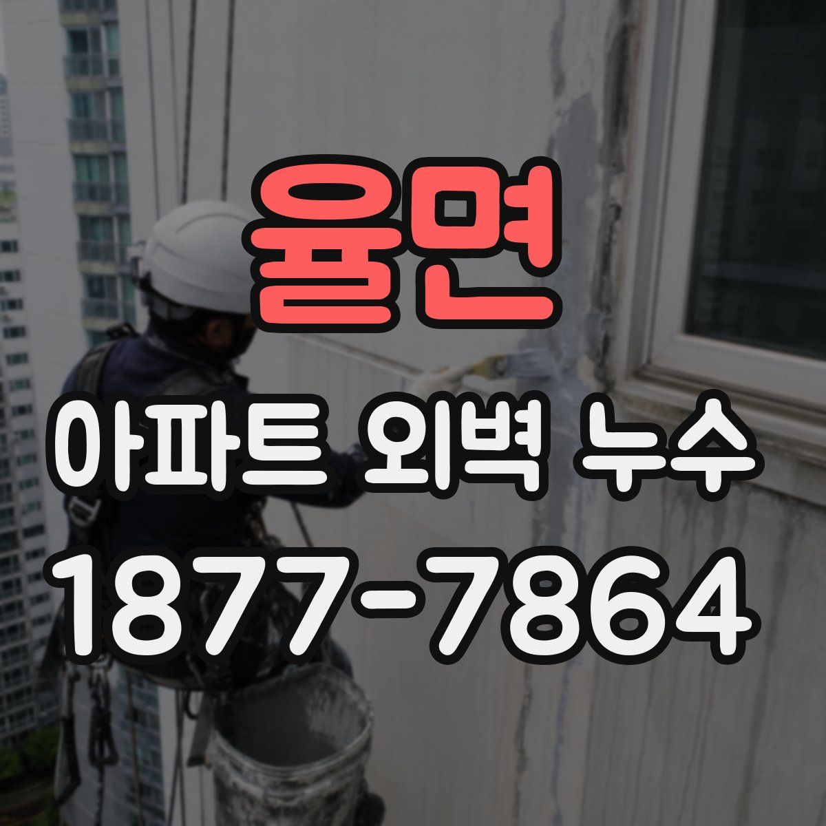 율면 아파트 외벽 누수