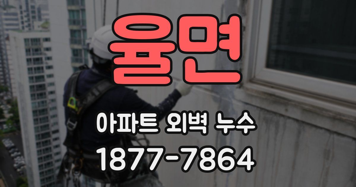 율면 아파트 외벽 누수