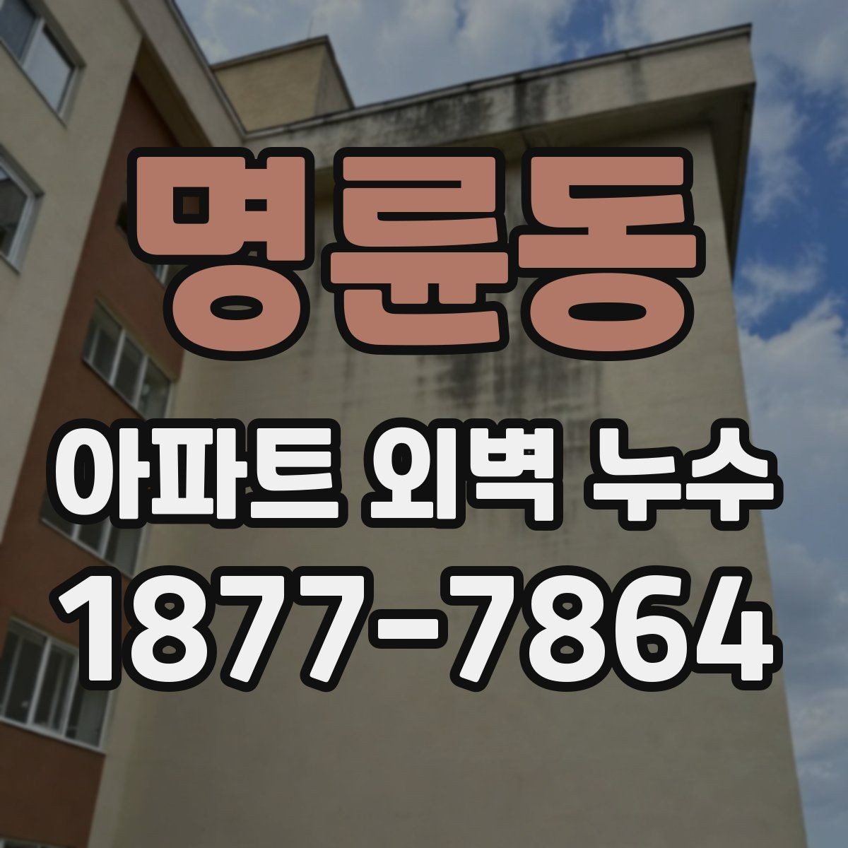 명륜동 아파트 외벽 누수 장기 누수로 번지기 전 대처
