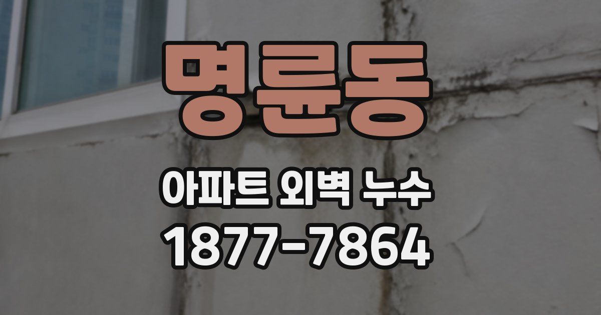 명륜동 아파트 외벽 누수