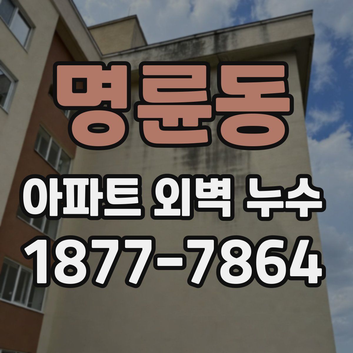 명륜동 아파트 외벽 누수