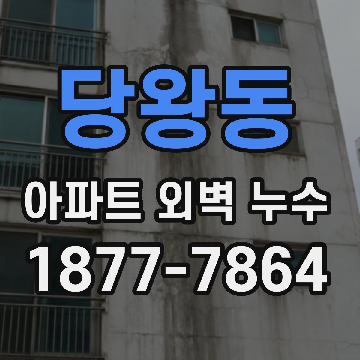당왕동 아파트 외벽 누수 하자 판단 기준 정리