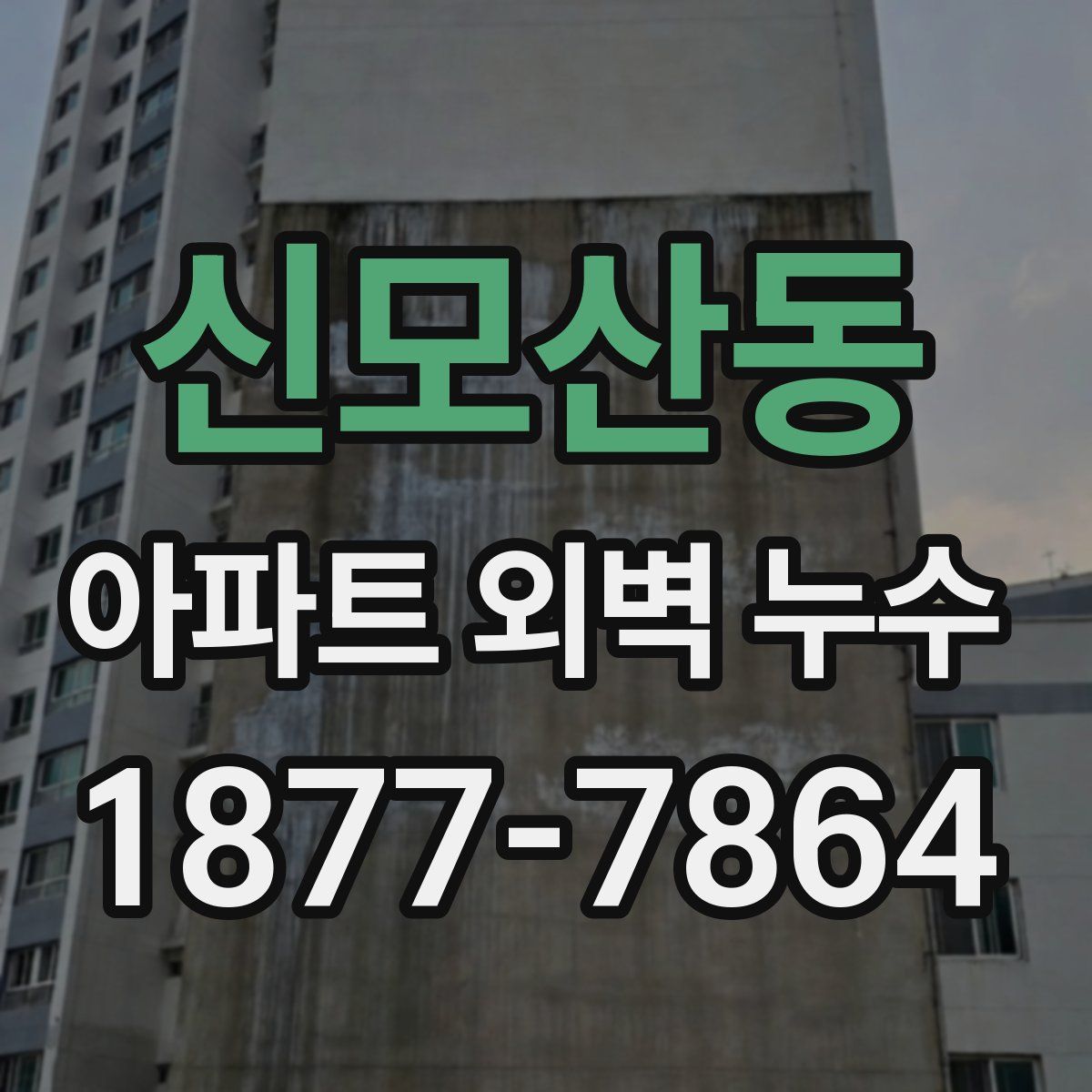 신모산동 아파트 외벽 누수