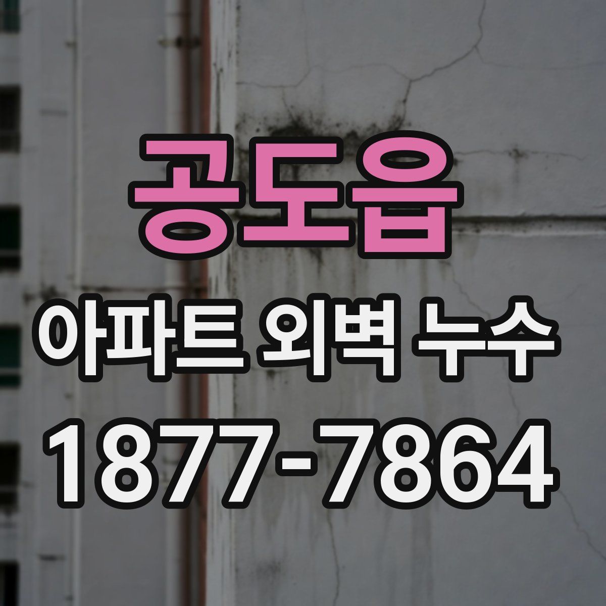 공도읍 아파트 외벽 누수