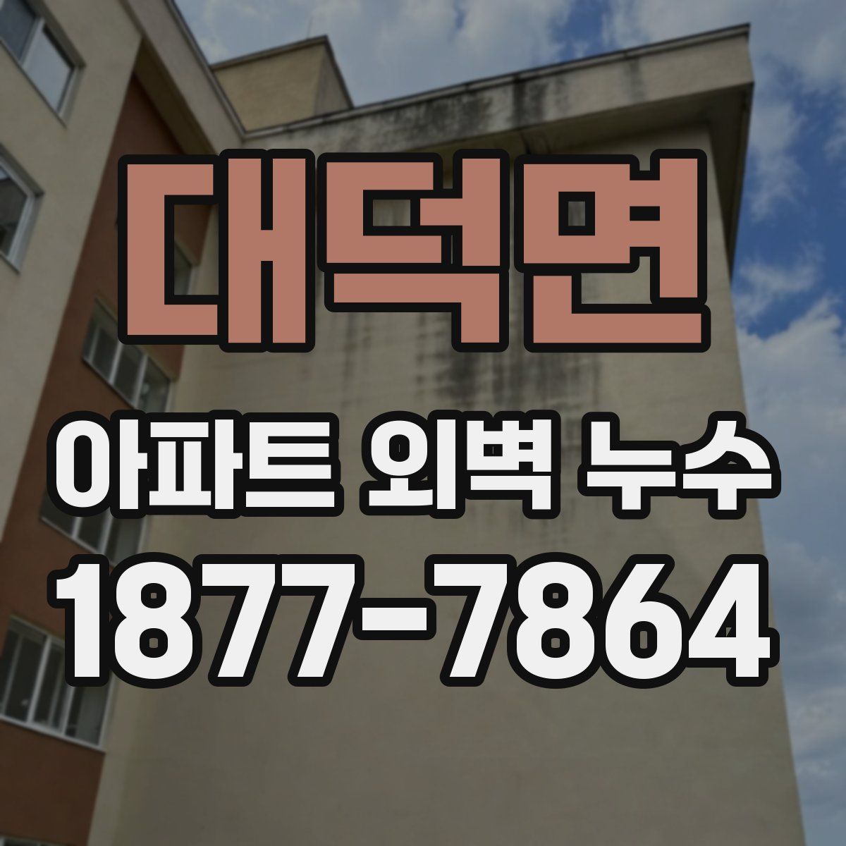 대덕면 아파트 외벽 누수