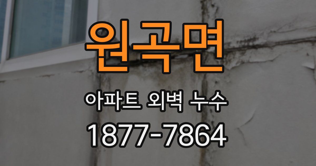 원곡면 아파트 외벽 누수
