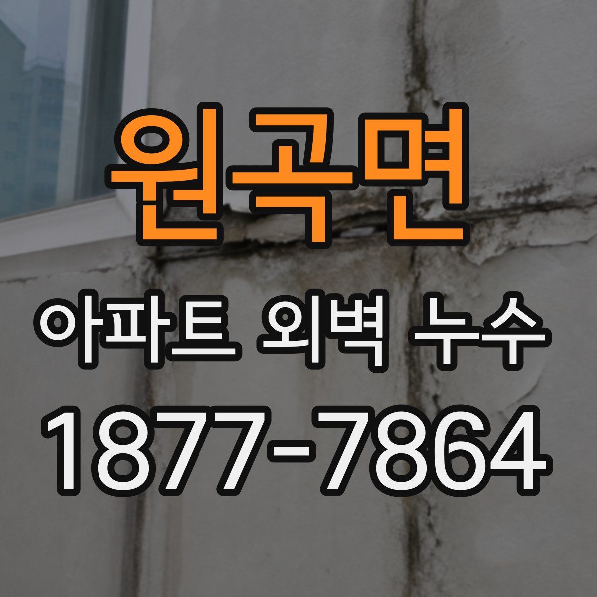 원곡면 아파트 외벽 누수