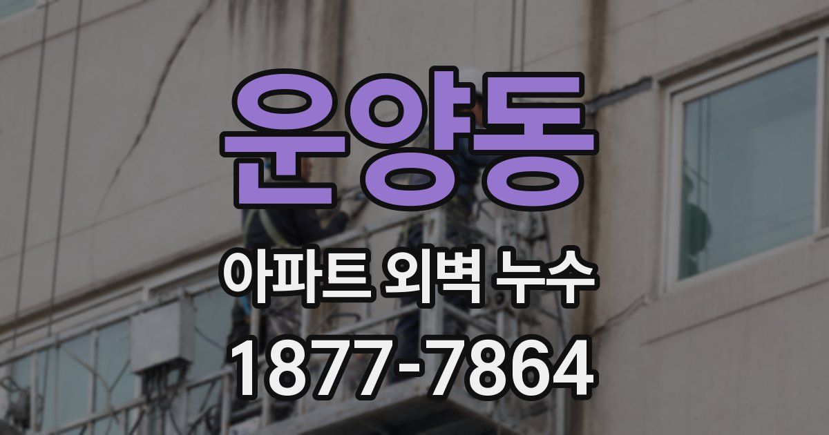 운양동 아파트 외벽 누수