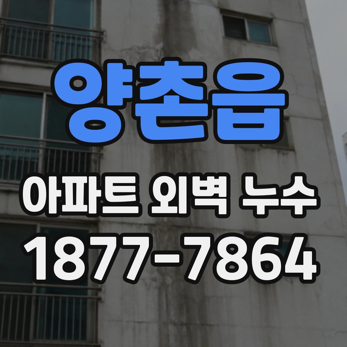 양촌읍 아파트 외벽 누수