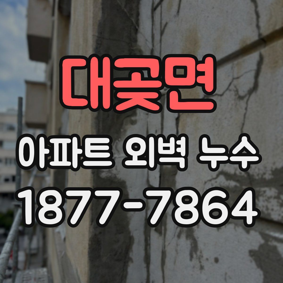 대곶면 아파트 외벽 누수