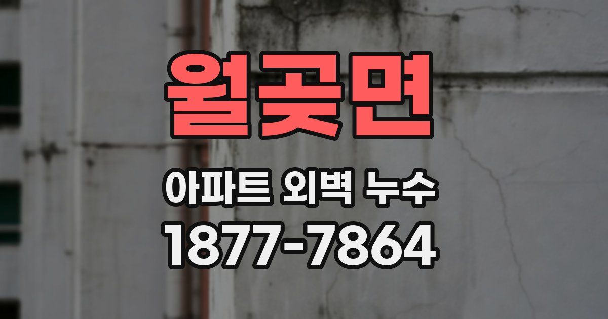 월곶면 아파트 외벽 누수