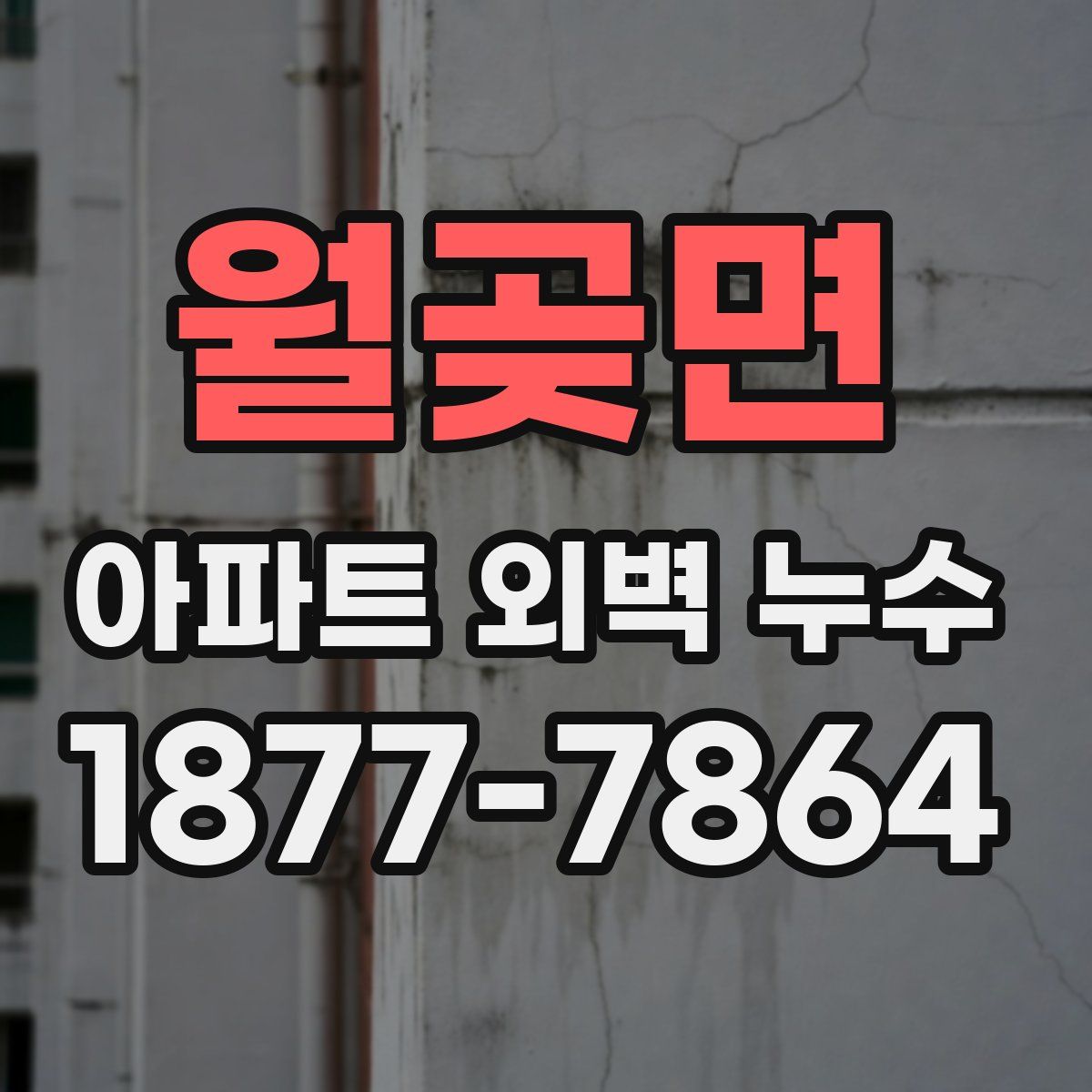 월곶면 아파트 외벽 누수