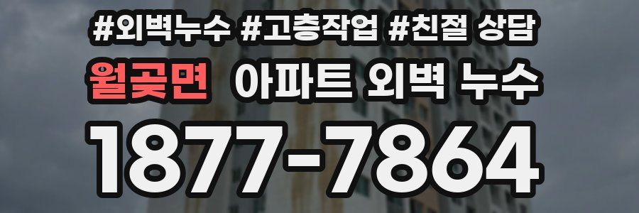 월곶면 아파트 외벽 누수
