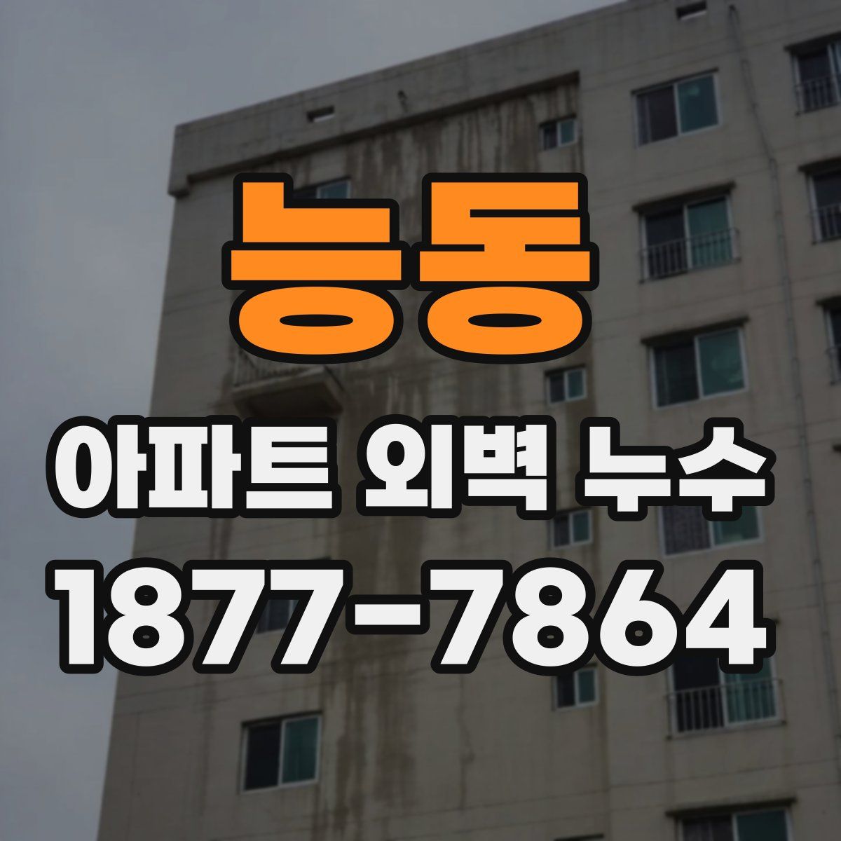 능동 아파트 외벽 누수