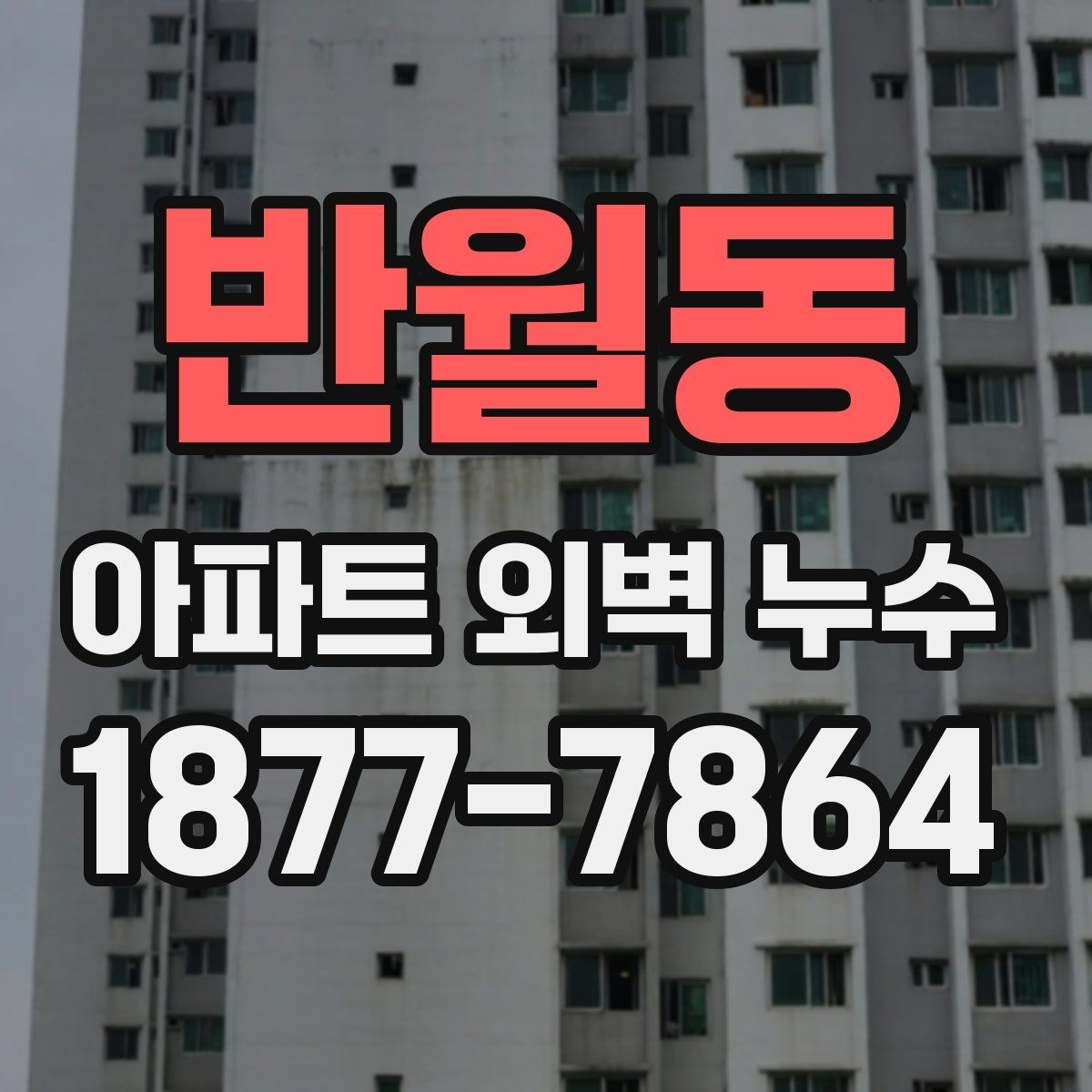 반월동 아파트 외벽 누수 발생 시 보험 점검할 체크포인트