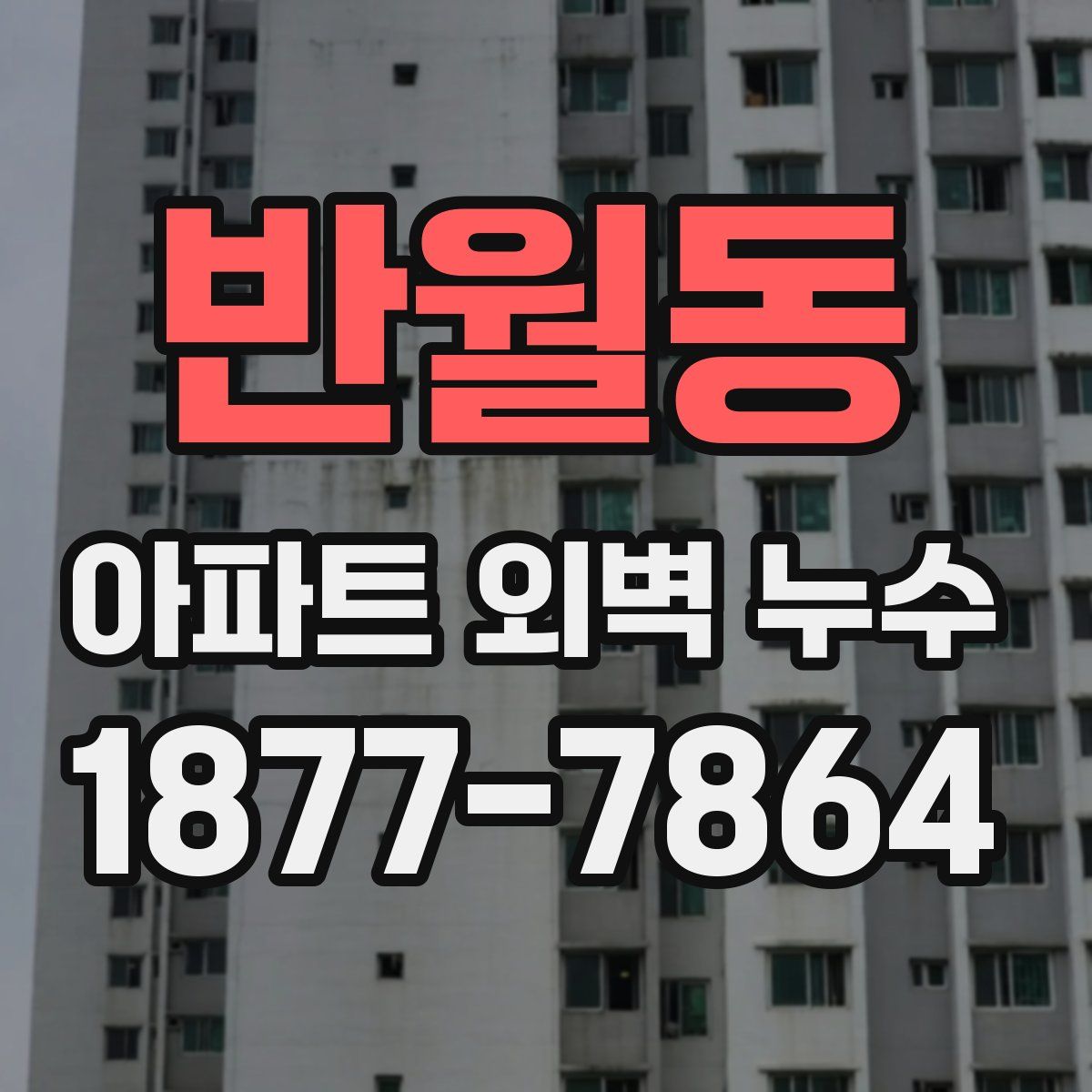반월동 아파트 외벽 누수