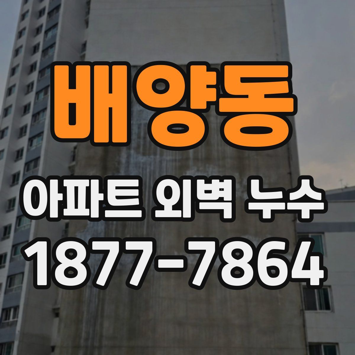 배양동 아파트 외벽 누수